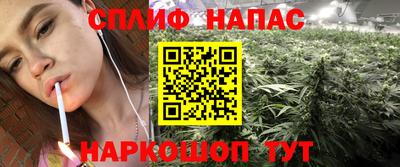 крисы Севастополь