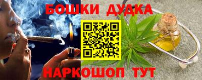 крисы Севастополь